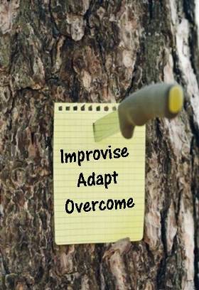 improvise, adapt and overcome motto