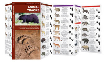 laminated guide to animal tracks