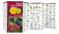 Edible Wild Plants